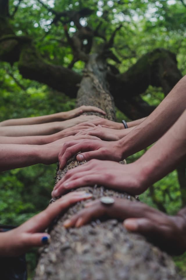 HEART Global Featured Image - Nature and Community